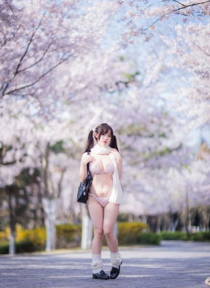 似锦电视剧免费观看